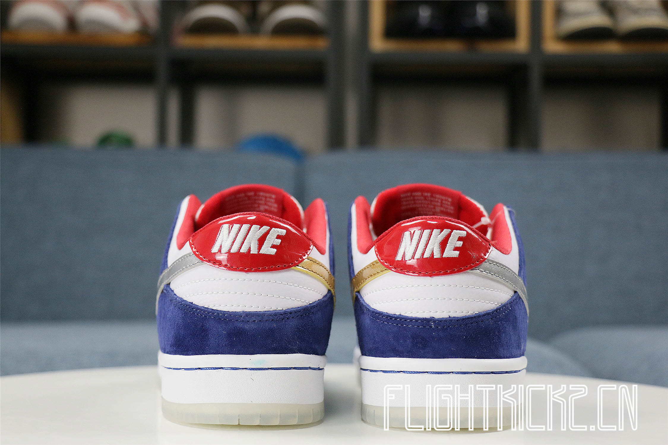 Nike Dunk SB Low Ishod Wair BMW