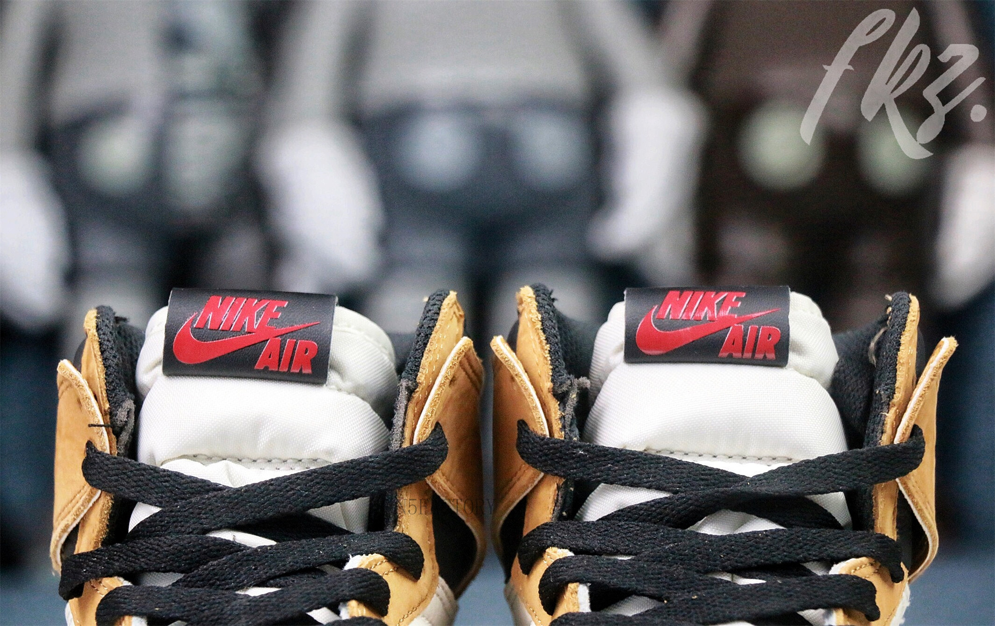 Air Jordan 1 Retro High Rookie The Year(GS)