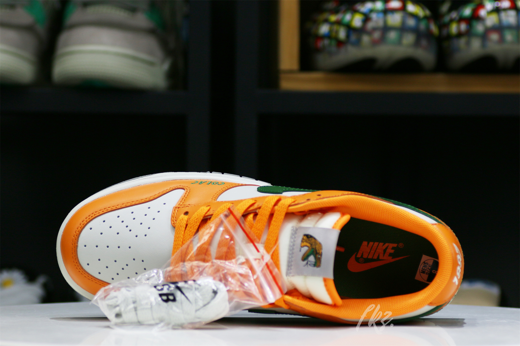 Nike Dunk Low Florida A&M University