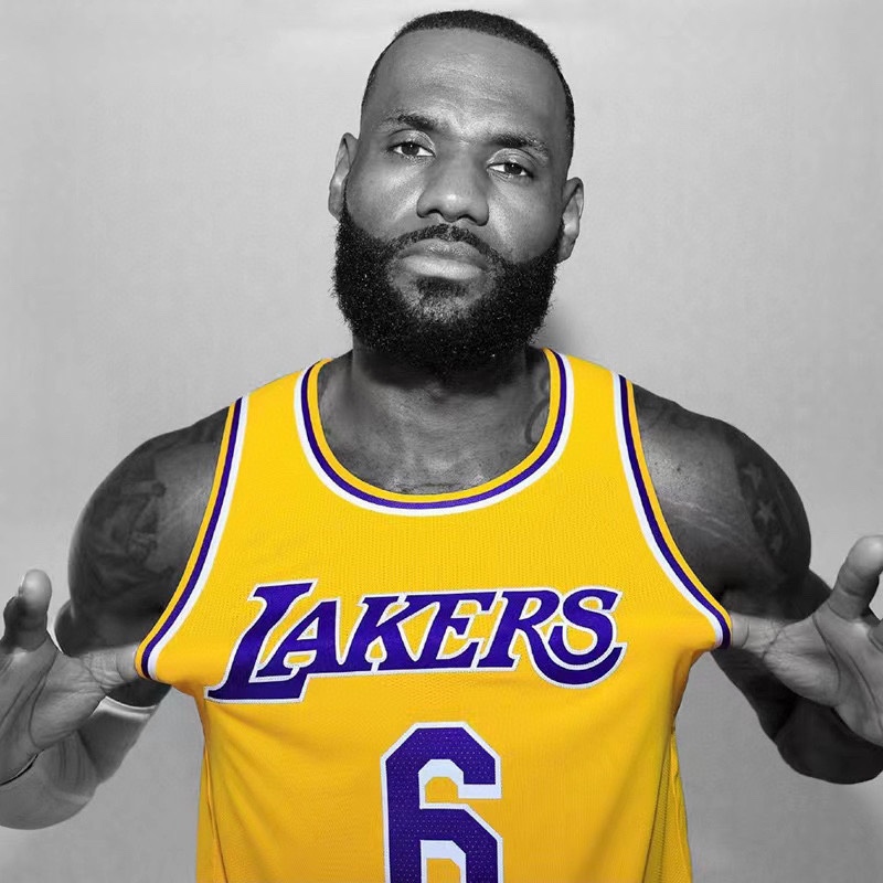 Nk NBA Lakers James James No. 6 jersey