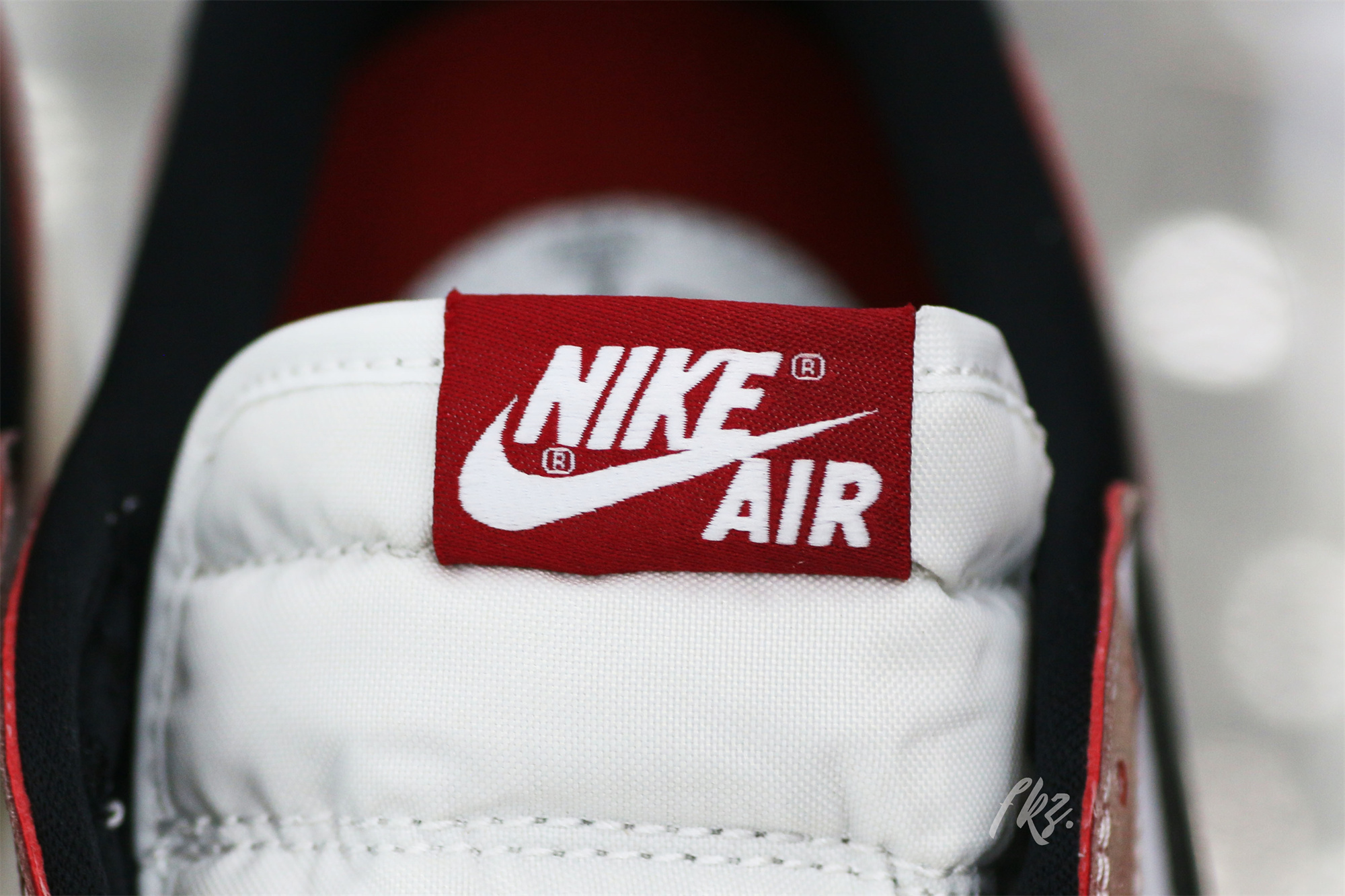 Trophy Room x Air Jordan 1 OG Low 2023