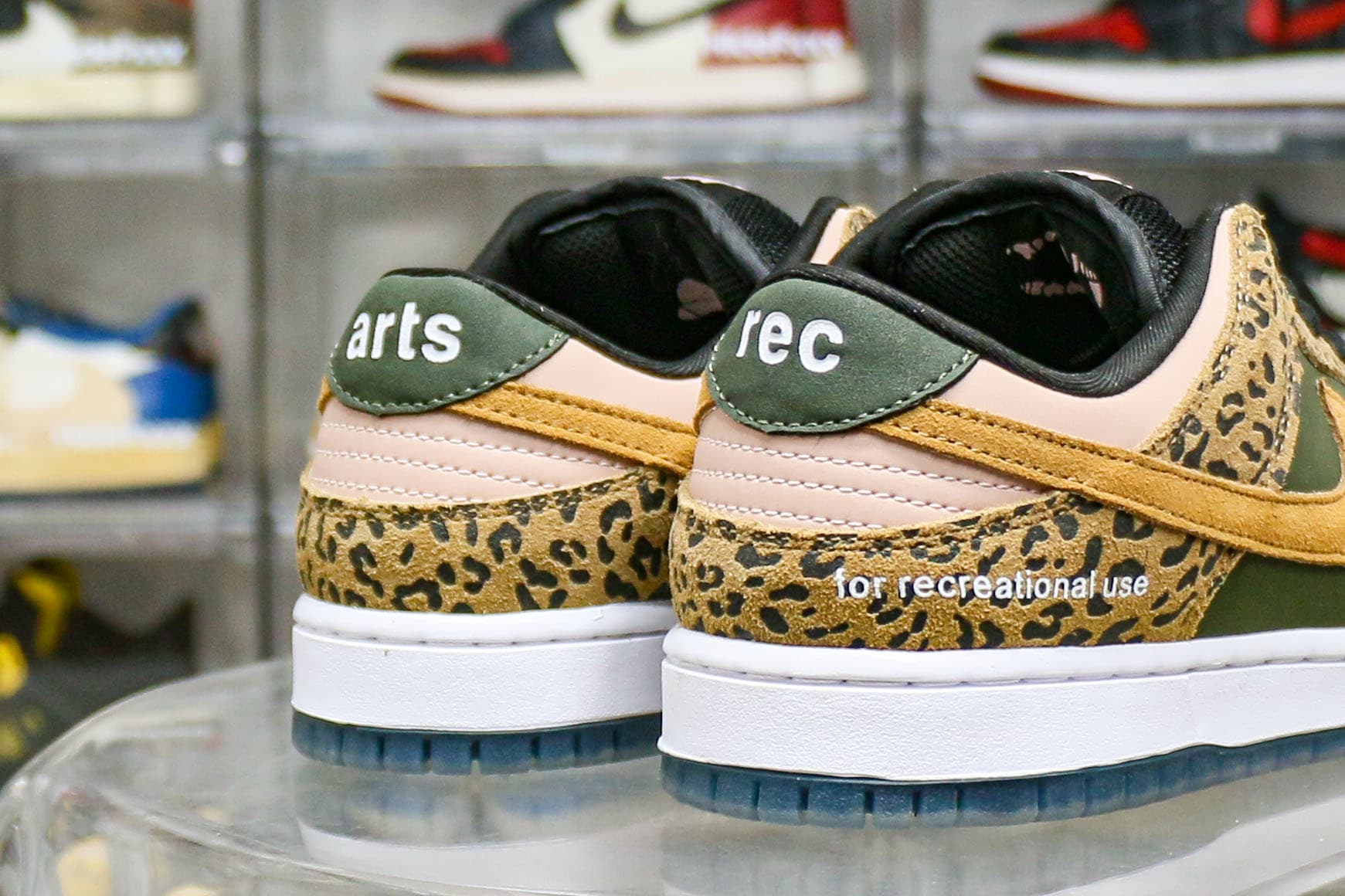 Arts Rec X Dunk Low SB For Recreational Use
